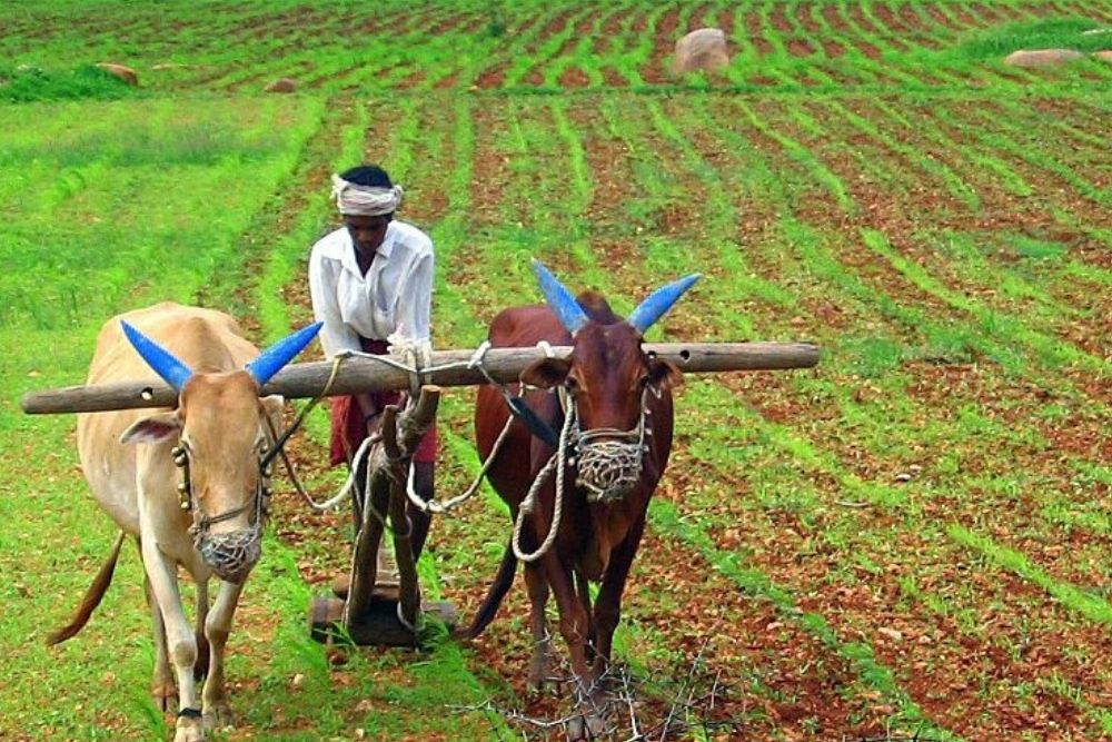 CLASS 8TH SOCIAL SCIENCE AGRICULTURE