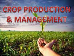 CROP PRODUCTION & MANAGEMENT