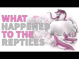 NCERT 6TH CLASS ENGLISH SUMMARY SUPPLEMENTARY  WHAT HAPPENED TO THE REPILES