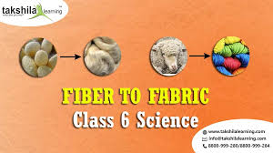FIBRE TO FABRIC