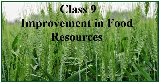NCERT 9TH CLASS SCIENCE CHAPTER IMPROVEMENT IN FOOD RESOURCES