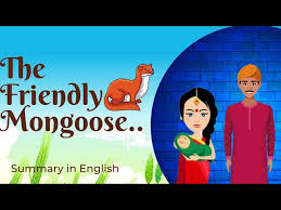 NCERT 6TH CLASS ENGLISH SUMMARY SUPPLEMENTARY THE FRIENDLY MONGOOSE