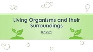 NCERT 6TH CLASS SCIENCE BIOLOGY LIVING ORGANISMS AND SURROUNDINGS PART - l
