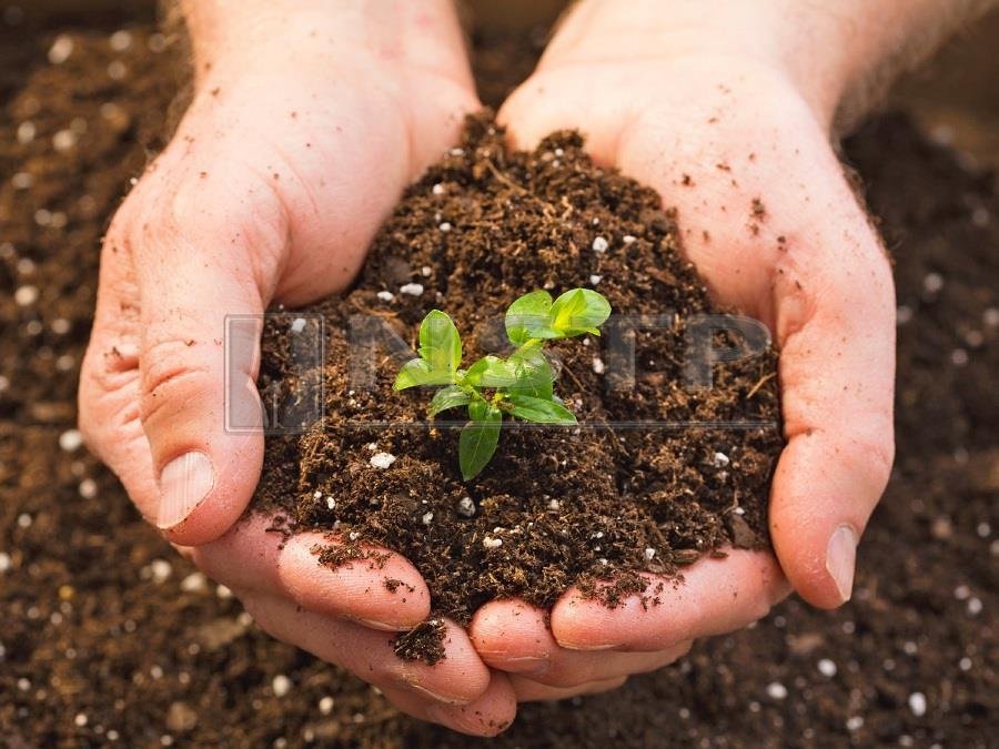 CLASS 8TH SOCIAL SCIENCE LAND, SOIL, WATER, NATURAL VEGETATION, & WILD LIFE RESOURCES