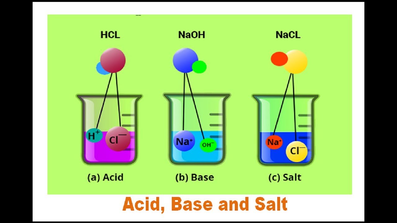 NCERT 10TH CLASS SCIENCE CHAPTER ACIDS, BASES & SALTS