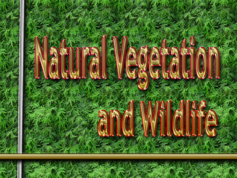 CBSE 10th CLASS GEOGRAPHY CHAPTER NATURAL VEGETATION