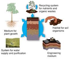 CBSE 10th CLASS GEOGRAPHY CHAPTER SOIL